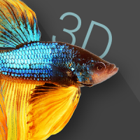 Betta Fish 3D