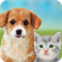 My Cat, Dog Pet Simulator : Virtual Dog Games