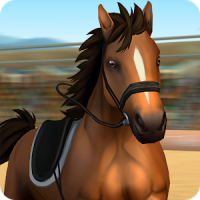 Horse World – Show Jumping - For all horse fans!