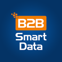 B2B Smart Data Web Profiler