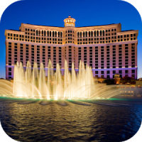 Fountain Video Live Wallpaper