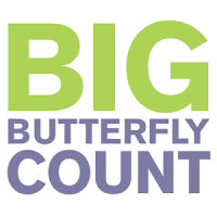 Big Butterfly Count