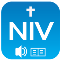NIV Audio Bible: book