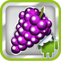 DVR:Bumper - Grape