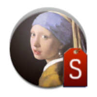 S Vermeer