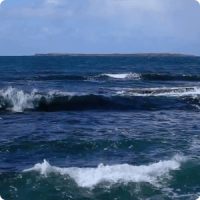Blue Ocean Waves Live HD