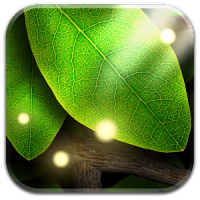 Tap Leaves Live Wallpaper