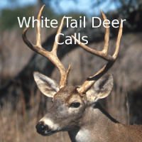 Whitetail Deer Calls