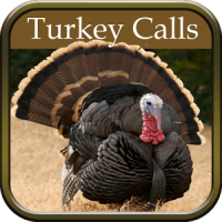 Turkey Hunting Calls