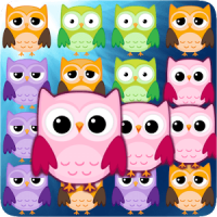 Cute Owl Pop
