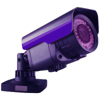 Viewer for Lorex IP cameras