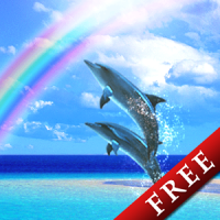 Dolphin Rainbow Trial