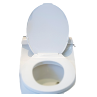 Flush Toilet