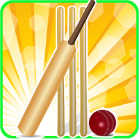 T20 Cricket Blast 2014
