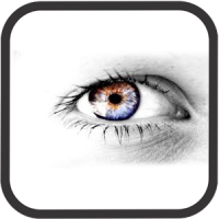 Eye Lens