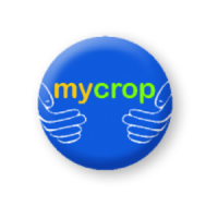 MyCrop Wheat