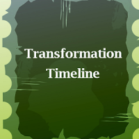 Transformation Timeline