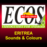 Sounds and Colours of Eritrea