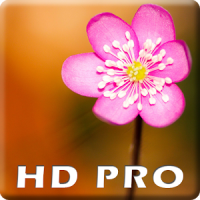 Macro Wallpaper HD Pro