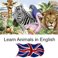 Learn Animals Names in English Pictures Words Quiz
