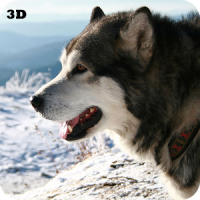 Husky 3D Live Wallpaper FREE