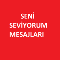 Seni Seviyorum Mesajları