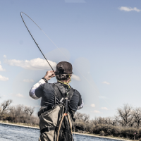 Fly Fisherman Fishing News App