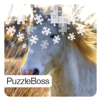 Jigsaw Puzzles: Horses