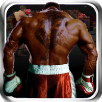 Virtual Boxing 3D Game Fight