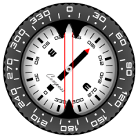 Kompass Pro
