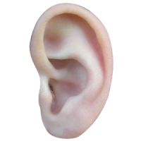 AcuMap EAR