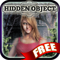 Hidden Object