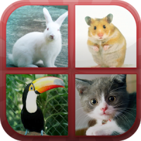 Animals Quiz