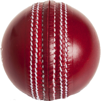 Relaso Cricket