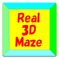 Escape! Real 3D Maze
