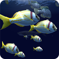 Fish Schooling VR