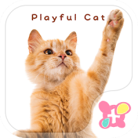 वॉलपेपर और आइकन Playful Cat