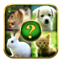 Animals Quiz