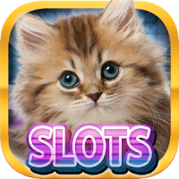 Casino Kitty - Free Cat Slots