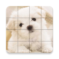 Cute Dogs Puzzle