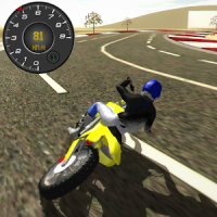Motocross-Fahrsimulator