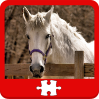 Cavalos Puzzles
