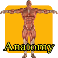 Aprende anatomia humana niños