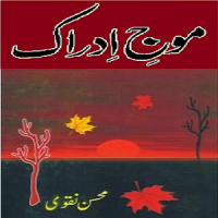 Moje Idrak—Poetry Mohsin Naqvi