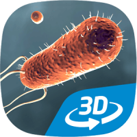 Bacteria interactive educational VR 3D