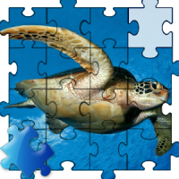 Черепаха Пазлы