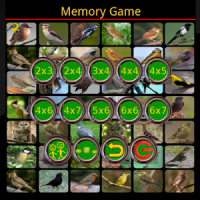 True Birds Memory Game