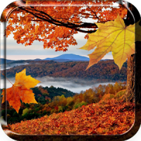 Fallende Blätter Hintergrund