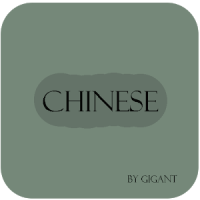 Chinese Test