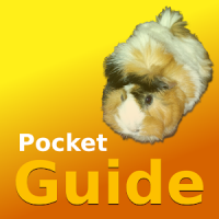 Pocket Guide Guinea Pigs